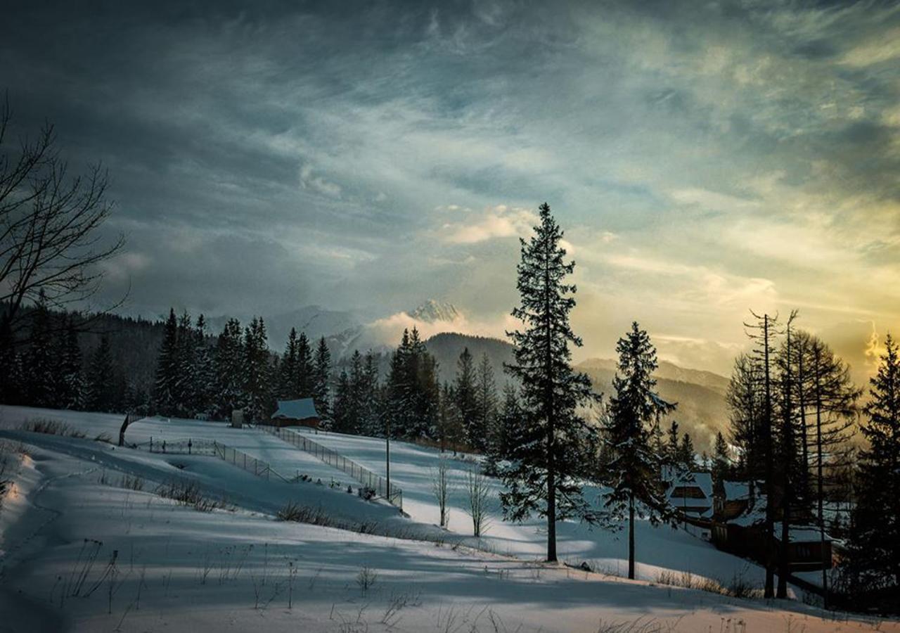 Apartamenty Toporowa Cyrhla Zakopane Kültér fotó
